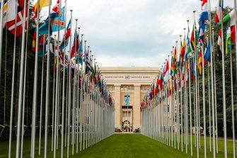 united nations office with flags