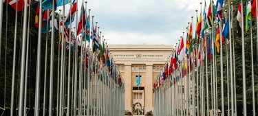 united nations office with flags
